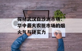 探秘武汉白沙洲市场：华中最大农批市场的烟火气与硬实力