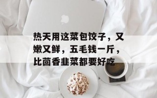 热天用这菜包饺子，又嫩又鲜，五毛钱一斤，比茴香韭菜都要好吃
