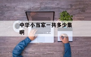 中华小当家一共多少集啊