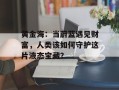黄金海：当蔚蓝遇见财富，人类该如何守护这片液态宝藏？