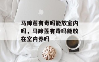马蹄莲有毒吗能放室内吗，马蹄莲有毒吗能放在室内养吗