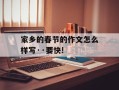 家乡的春节的作文怎么样写··要快!