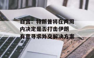 白宫：特朗普将在两周内决定是否打击伊朗 有意寻求外交解决方案