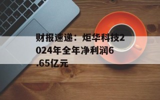 财报速递：炬华科技2024年全年净利润6.65亿元