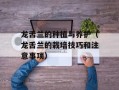 龙舌兰的种植与养护（龙舌兰的栽培技巧和注意事项）