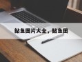 鲇鱼图片大全，鲇鱼图
