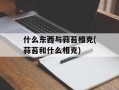 什么东西与蒜苔相克(蒜苔和什么相克)