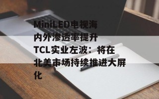 MiniLED电视海内外渗透率提升   TCL实业左波：将在北美市场持续推进大屏化