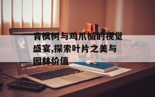 青枫树与鸡爪槭的视觉盛宴,探索叶片之美与园林价值