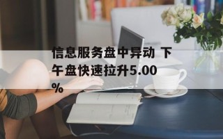 信息服务盘中异动 下午盘快速拉升5.00%