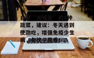 自带“青霉素”的1种蔬菜，建议：冬天遇到使劲吃，增强免疫少生病，包饺子真香！