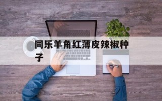 同乐羊角红薄皮辣椒种子