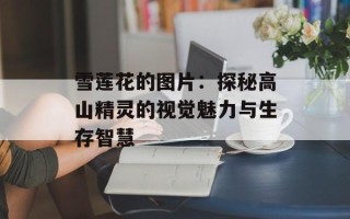 雪莲花的图片：探秘高山精灵的视觉魅力与生存智慧