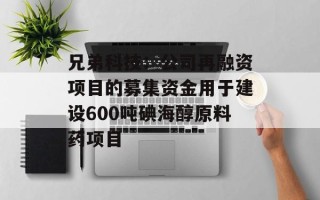 兄弟科技：公司再融资项目的募集资金用于建设600吨碘海醇原料药项目