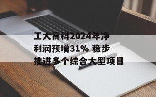 工大高科2024年净利润预增31% 稳步推进多个综合大型项目