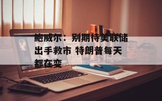 鲍威尔：别期待美联储出手救市 特朗普每天都在变