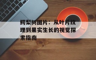 鳄梨树图片：从叶片纹理到果实生长的视觉探索指南