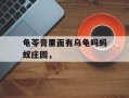 龟苓膏里面有乌龟吗蚂蚁庄园，