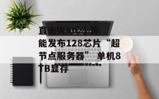 直击WAIC | 算能发布128芯片“超节点服务器” 单机8TB显存