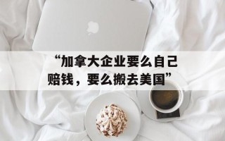 “加拿大企业要么自己赔钱，要么搬去美国”