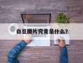 白豆图片究竟是什么？