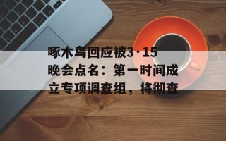 啄木鸟回应被3·15晚会点名：第一时间成立专项调查组，将彻查