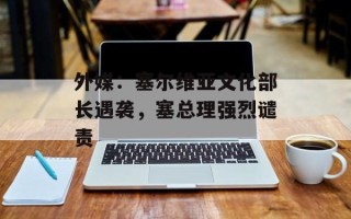 外媒：塞尔维亚文化部长遇袭，塞总理强烈谴责