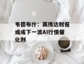 韦德布什：英伟达财报或成下一波AI行情催化剂