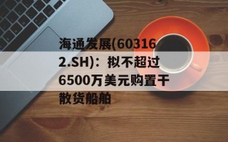 海通发展(603162.SH)：拟不超过6500万美元购置干散货船舶
