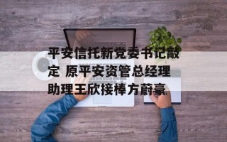 平安信托新党委书记敲定 原平安资管总经理助理王欣接棒方蔚豪