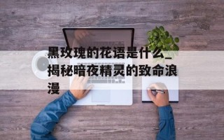 黑玫瑰的花语是什么_揭秘暗夜精灵的致命浪漫