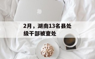2月，湖南13名县处级干部被查处