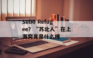 Subo Refugee？“苏北人”在上海究竟是什么梗