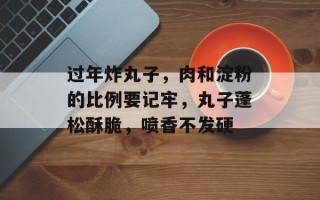 过年炸丸子，肉和淀粉的比例要记牢，丸子蓬松酥脆，喷香不发硬