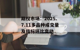 期权市场：2025.7.11多品种成交量及指标环比变动
