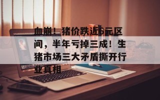 血崩！猪价跌近6元区间，半年亏掉三成！生猪市场三大矛盾撕开行业真相