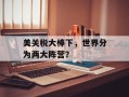 美关税大棒下，世界分为两大阵营？
