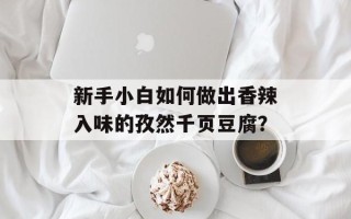 新手小白如何做出香辣入味的孜然千页豆腐？