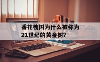 香花槐树为什么被称为21世纪的黄金树？