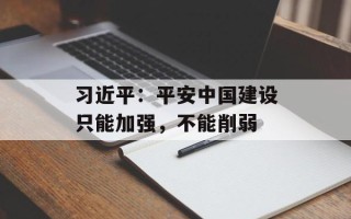 习近平：平安中国建设只能加强，不能削弱
