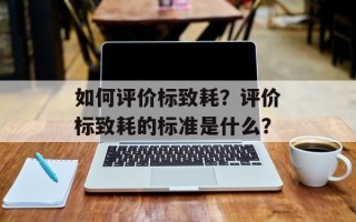 如何评价标致耗？评价标致耗的标准是什么？