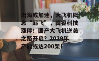 出海或加速，大飞机概念“起飞”，国睿科技涨停！国产大飞机逆袭之路开启？2029年产能或达200架！