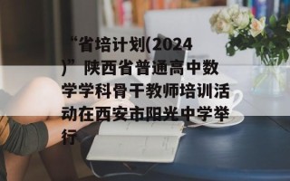 “省培计划(2024)”陕西省普通高中数学学科骨干教师培训活动在西安市阳光中学举行