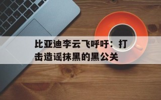 比亚迪李云飞呼吁：打击造谣抹黑的黑公关