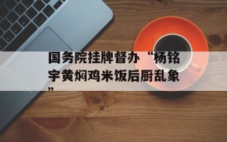 国务院挂牌督办“杨铭宇黄焖鸡米饭后厨乱象”