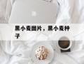 黑小麦图片，黑小麦种子
