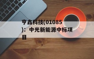 亨鑫科技(01085)：中光新能源中标项目