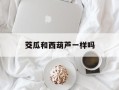 茭瓜和西葫芦一样吗