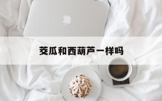 茭瓜和西葫芦一样吗