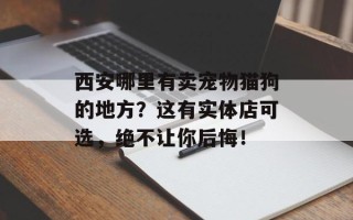 西安哪里有卖宠物猫狗的地方？这有实体店可选，绝不让你后悔！